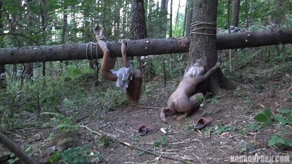 Темная сторона леса | The Dark Side of the Woods [порно ужасы]