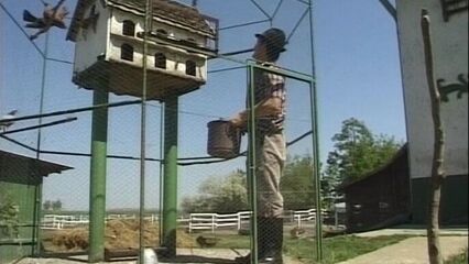 Ненасытная крестьянка - полный порно фильм на русском