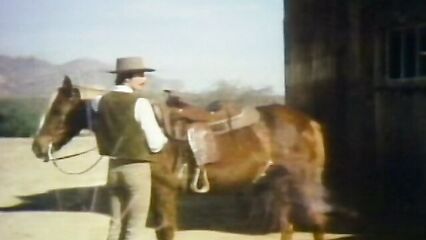 Порно фильм: Сладкая дикарка (Приятная дикость) 1979