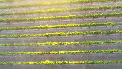 С помощью беспилотника сняли порнофильм Drone Boning