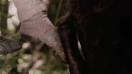 Аморальные истории (1974) эротический фильм с переводом