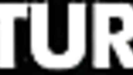 2 члена жестко дерут во все дыры брюнетку