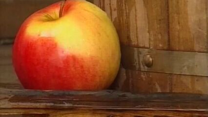 Масленица (2004) А.Шарко, русский порно фильм!