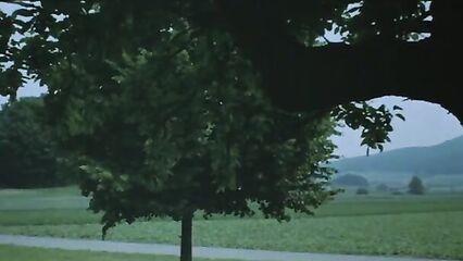 Порно фильмы: Шесть шведок в пансионате