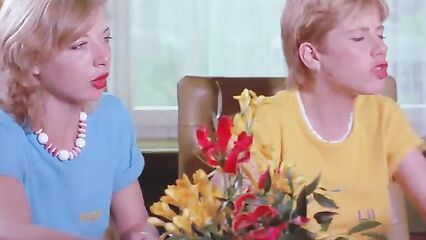 Порно фильмы: Шесть шведок в Альпах (1983)