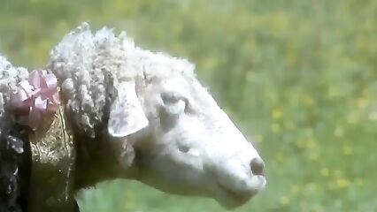 Порно фильм Зверь | La Bete | The Beast 1975 смотреть онлайн