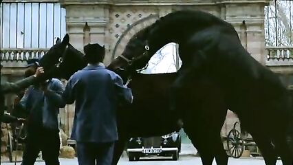 Порно фильм Зверь | La Bete | The Beast 1975 смотреть онлайн