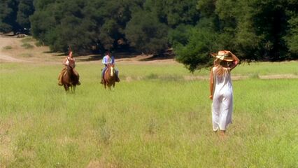 Званый Обед | Dinner Party — порно фильм о свингерах