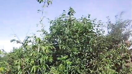 Секс на свежем воздухе. Дача на пустыре