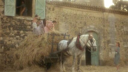 Нежные кузины | Tendres cousines (1980) Дэвид Гамильтон