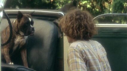 Нежные кузины | Tendres cousines (1980) Дэвид Гамильтон