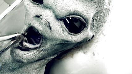 Секс с инопланетянином из разбившегося Розуэлльского НЛО