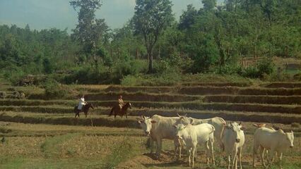 Эммануэль | Emmanuelle (1974) эротический фильм