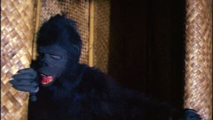 Зверь, убивающий женщин — эротика, ужасы, кинофильмы