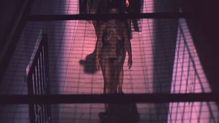 Женщины, депортированные в специальный лагерь СС (1976)