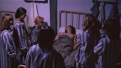 Женщины, депортированные в специальный лагерь СС (1976)